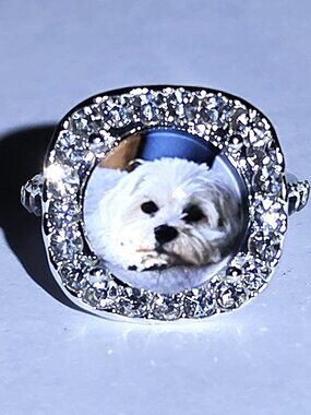 Great RIng With Precious White Dog